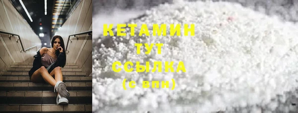 индика Новозыбков