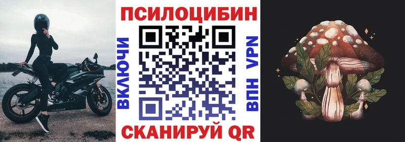 Галлюциногенные грибы прущие грибы  как найти   Тюкалинск 
